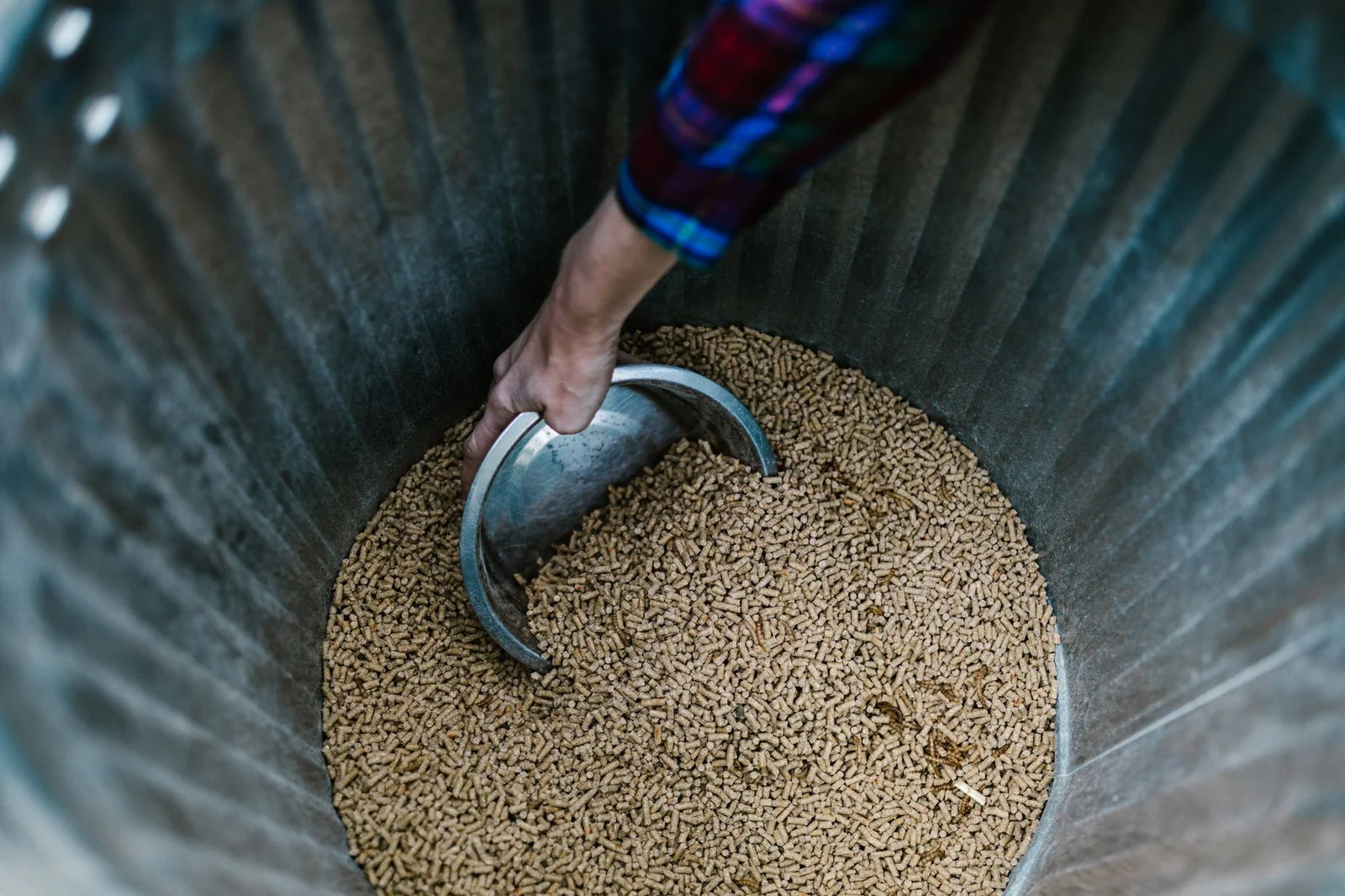 Chaudière à granulés de bois avec son système d'alimentation automatique