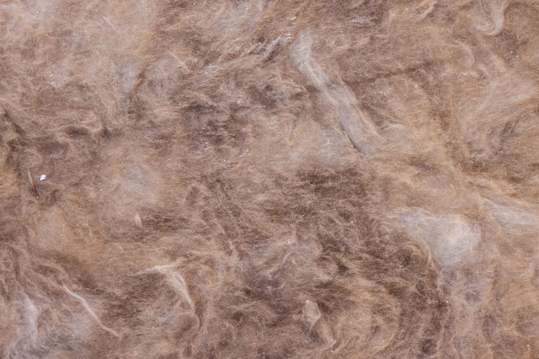 Différents types d'isolants posés sur une surface en bois : laine de roche, ouate, panneau PIR